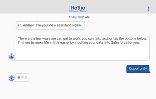 Rollio screenshot 3