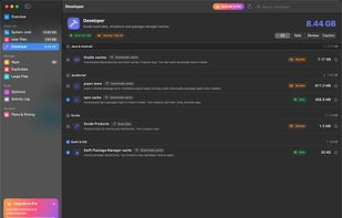 Developer: Xcode, Gradle, npm and other package caches