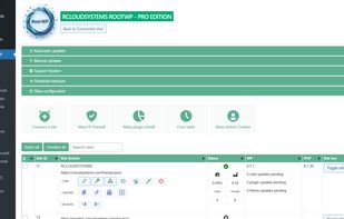 Iconized features of RootWP