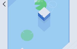 Rope Hexagon screenshot 1