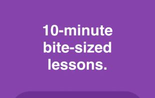 Rosetta Stone screenshot 2