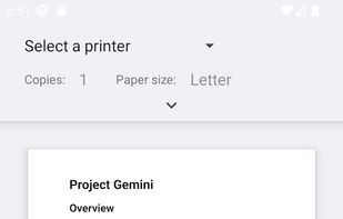 Rosy Crow screenshot 2
