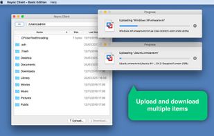 Truck - Rsync Client screenshot 1