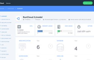 RunCloud screenshot 1