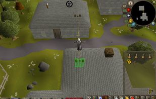 Runelite screenshot 1