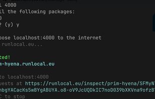 runlocal screenshot 1
