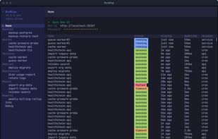 RunWisp screenshot 3
