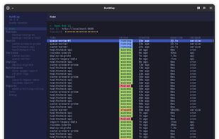 RunWisp screenshot 1