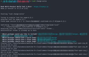 Rush Monorepo screenshot 1