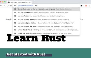 Rust Search Extension screenshot 1