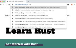 Rust Search Extension screenshot 3