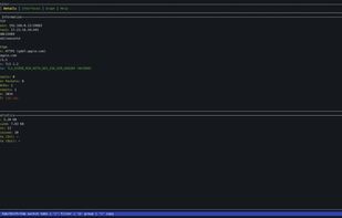 Connection Details HTTP