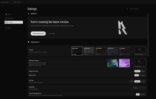 Customize Ruwa’s appearance, interface scale, language, welcome screen, and update preferences.