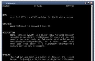 RXVT screenshot 1