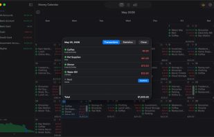 Daily transaction details screen in Money Calendar app