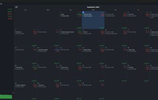 Money Calendar main calendar view