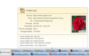 Download Manager (S3) screenshot 1