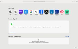 Safari Light Theme on Mac
