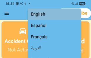 In-app language picker with multi-language support.