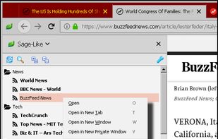 RSS Sage-Like screenshot 1