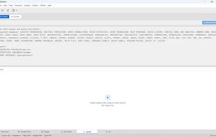 SPSS syntax and R terminal