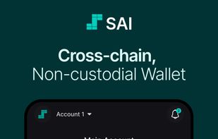 Cross-chain, non-custodial Wallet