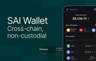 Cross-chain, non-custodial Wallet