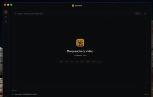 Main application view