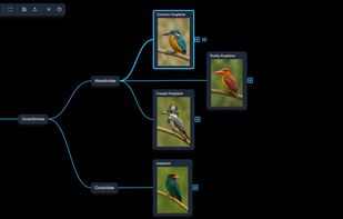 Use it for long periods without straining your eyes. In addition to brainstorming, planning, and problem-solving, it’s also perfect for learning.