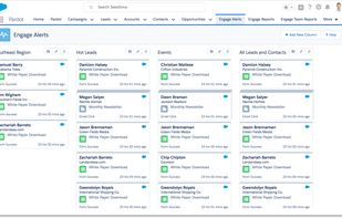 Salesforce screenshot 1
