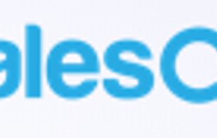 SalesQL screenshot 1