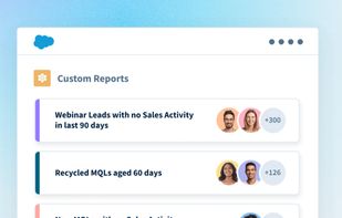 Saleswhale screenshot 2