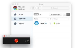 SaltyBeer Skype Recorder screenshot 1