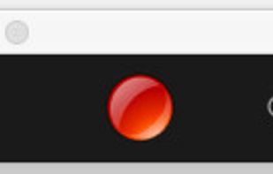 SaltyBeer Skype Recorder screenshot 1