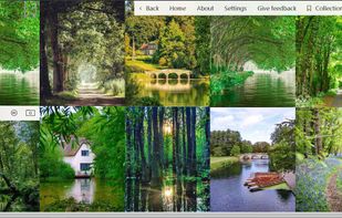 example of using website