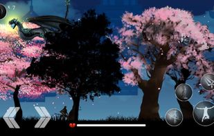 Samurai Assassin screenshot 1