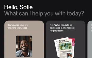 Sana AI screenshot 3