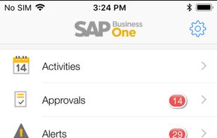 SAP Business One screenshot 1