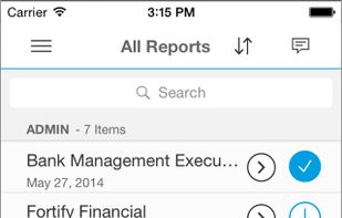 SAP BusinessObjects screenshot 3