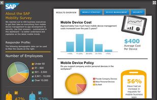 SAP BusinessObjects screenshot 1