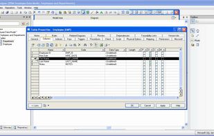 SAP PowerDesigner screenshot 1