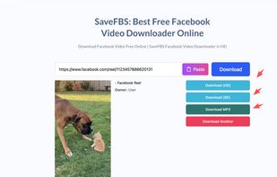 SaveFbs Video screenshot 1