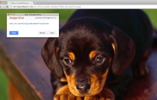 Save to Google Drive screenshot 1