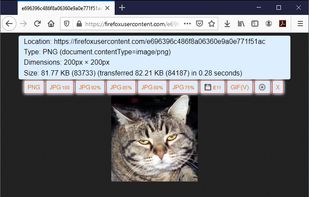 Save webP as PNG or JPEG Extension screenshot 2