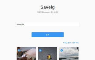 saveig screenshot 1
