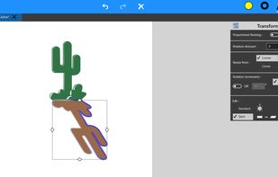 SaviDraw settings panel