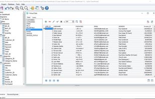 Before generating data to the database you can generate a preview of the data that will be generated. You can also manipulate these data by using the query tool.