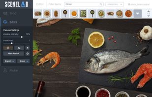 SceneLab screenshot 1