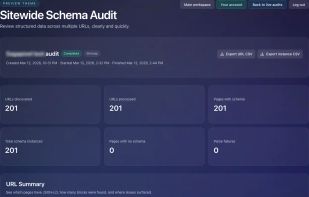 Schema markup audit results