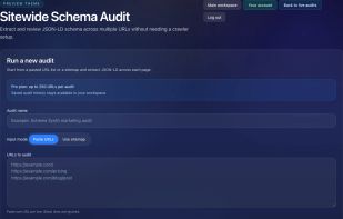 Schema markup audit